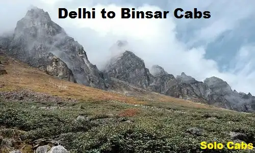 delhi to binsar cabs
