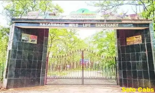 delhi to hazaribagh cabs
