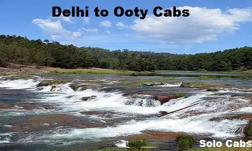 delhi to ooty  cabs