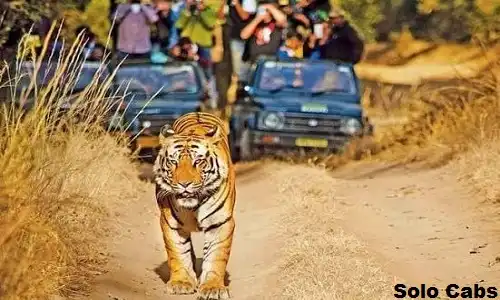 delhi to panna cabs