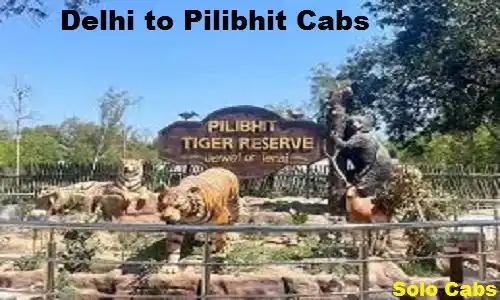delhi to pilibhit cabs