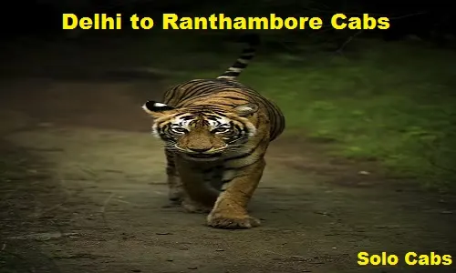 delhi to ranthambore cabs
