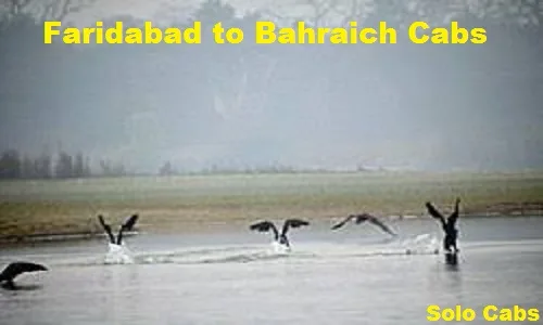 faridabad to bahraich cabs