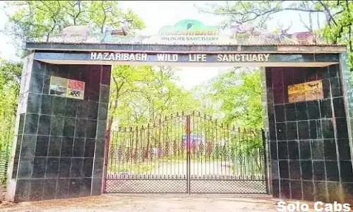 faridabad to hazaribagh cabs