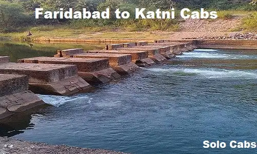 faridabad to katni cabs