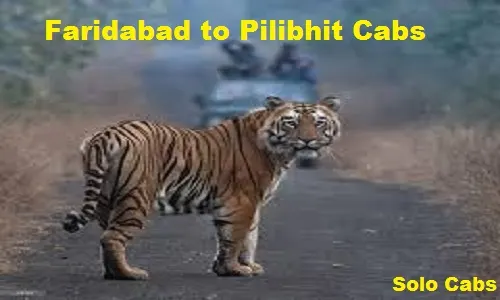 faridabad to pilibhit cabs