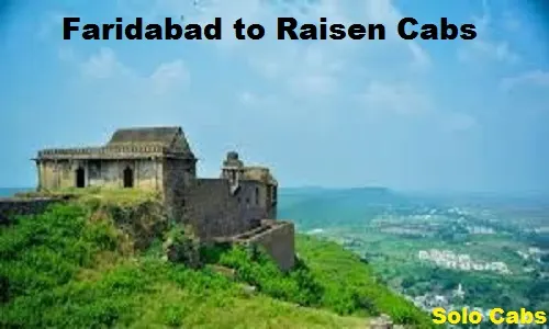 faridabad to raisen cabs