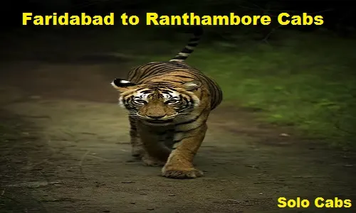 faridabad to ranthambore cabs