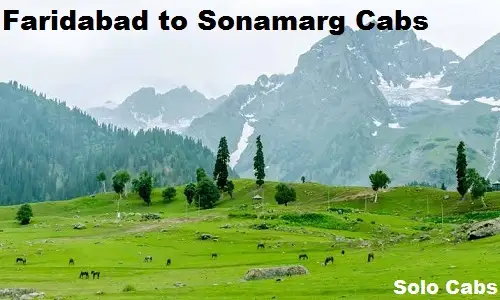 faridabad to sonamarg cabs