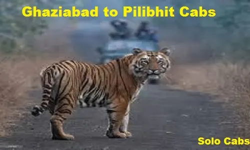 ghaziabad to pilibhit cabs