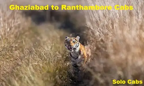 ghaziabad to ranthambore cabs