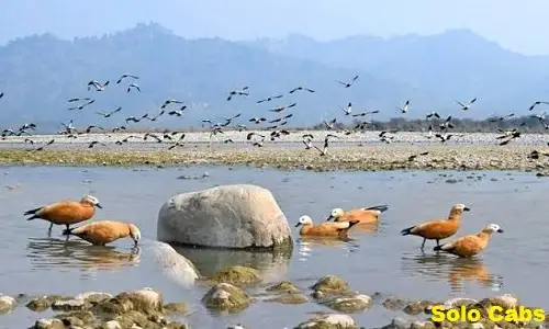 ghaziabad to yamunanagar cabs