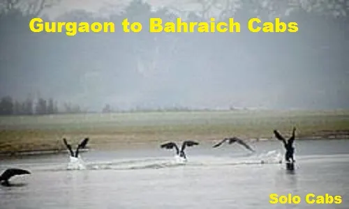 gurgaon to bahraich cabs