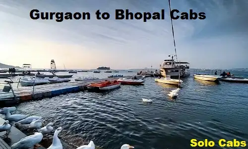 gurgaon to bhopal cabs