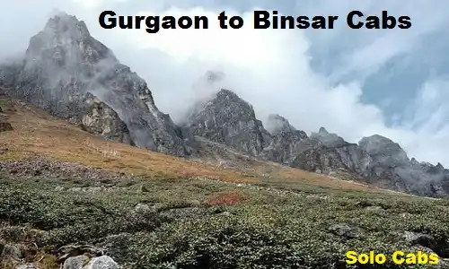 gurgaon to binsar cabs
