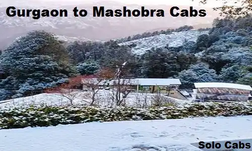 gurgaon to mashobra cabs