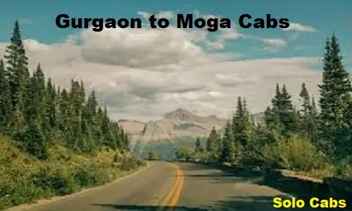 gurgaon to moga cabs