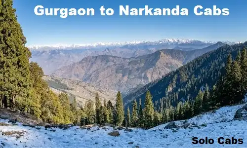 gurgaon to narkanda cabs