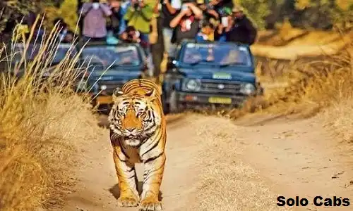 gurgaon to panna cabs