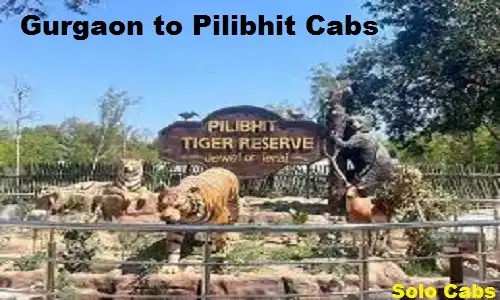 gurgaon to pilibhit cabs