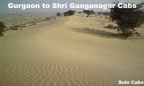 gurgaon to shri ganganagar cabs