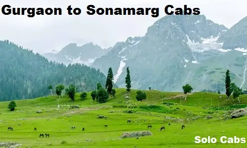 gurgaon to sonamarg cabs