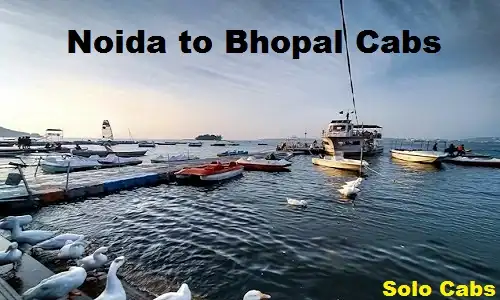 noida to bhopal cabs