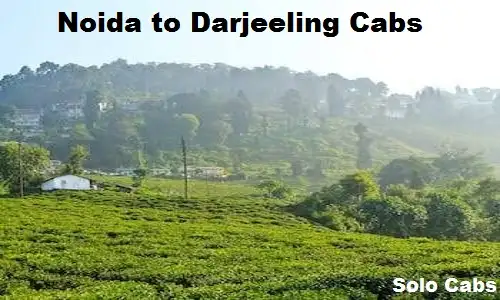 noida to darjeeling cabs