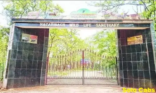 noida to hazaribagh cabs