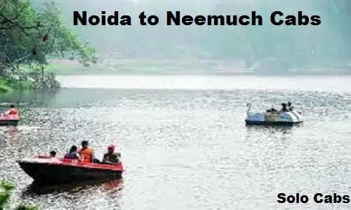 noida to neemuch cabs