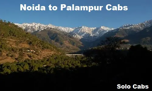 noida to palampur cabs