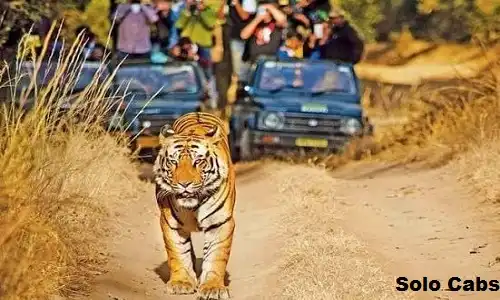 noida to panna cabs