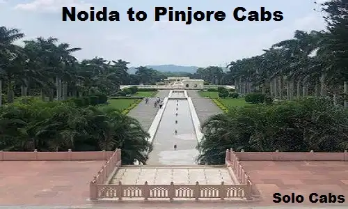 noida to pinjore cabs