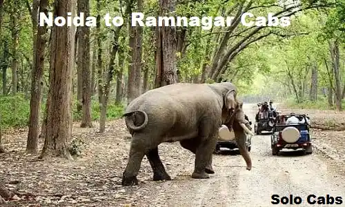 noida to ramnagar cabs