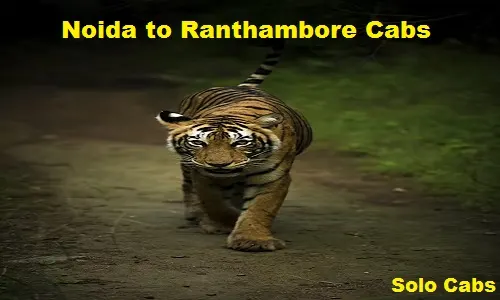 noida to ranthambore cabs