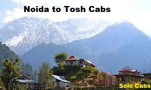 noida to tosh cabs